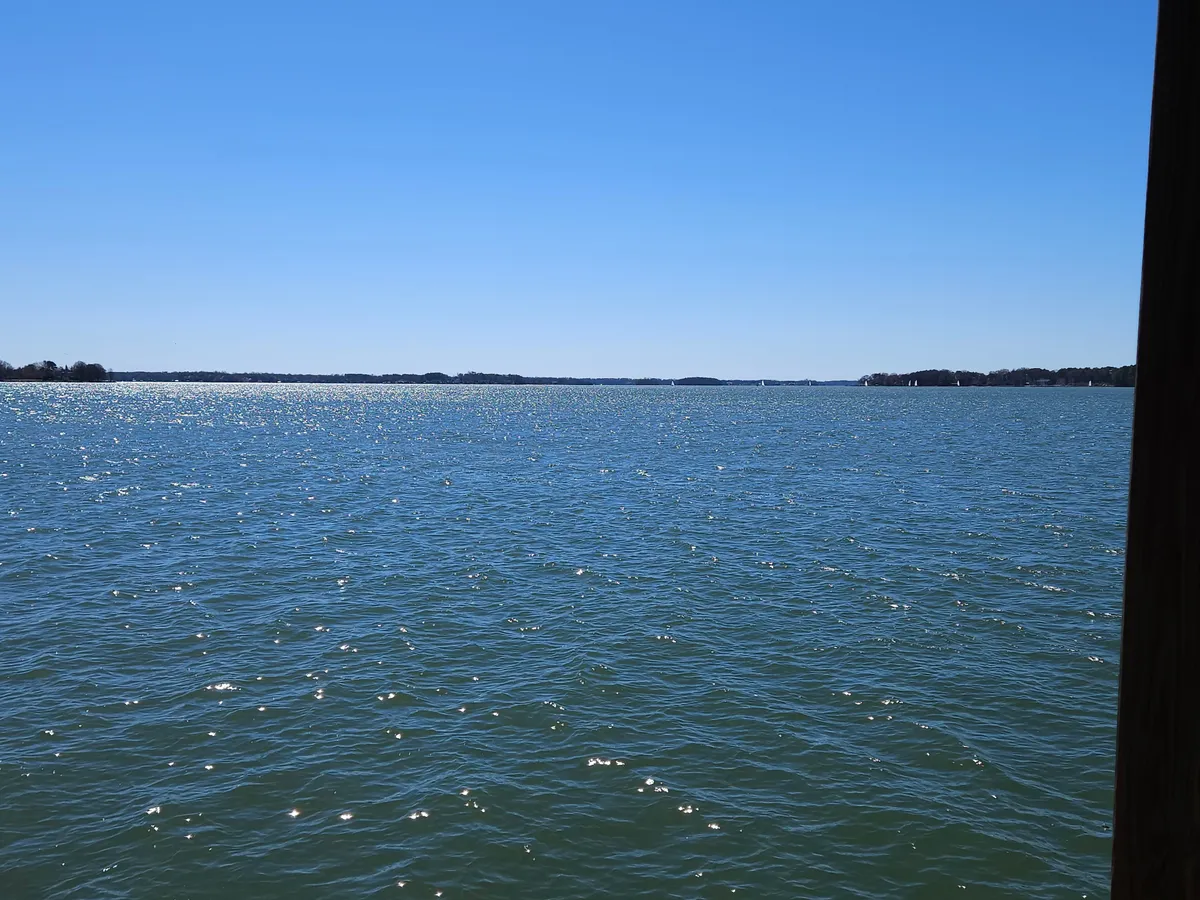 A tranquil scene of sparkling water stretching toward a distant tree line beneath a clear blue sky, evoking calm and serenity. The natural shoreline hints at opportunities for kayaking, birdwatching, or enjoying the sunrise, inviting guests to immerse themselves in the peaceful lakeside atmosphere.